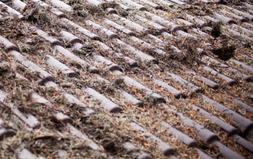 Nomansland roof cleaning companies