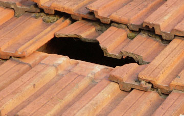 roof repair Nomansland