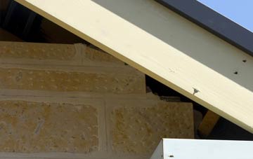 soffit repair Nomansland